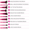 BH Cosmetics Sculpt and Blend Fan Faves - 10 Piece Brush Set - Image 2